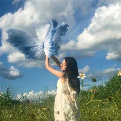 迈耶罗维茨的故事