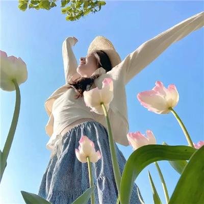 荔枝树下热烈岛