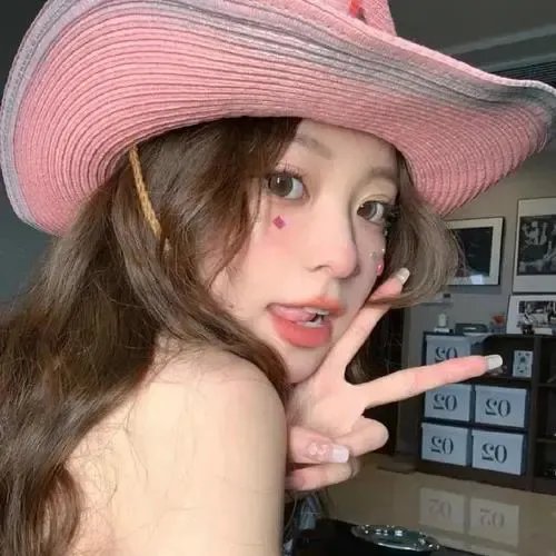 重生宠妾进阶录